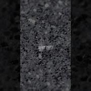 Sound Therapy Space Я Не Пропала