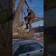 Auto Aut