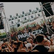 Tamzen Paracek