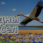 Родны Бусел