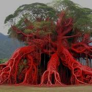 Загадки Природы 2021