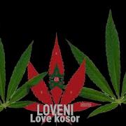 Love Kosor