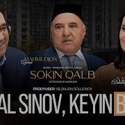 Sokin Qalblar