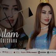 Oilam