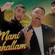Mani Mahallam