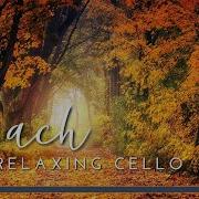 Relaxing Cello Classical Music