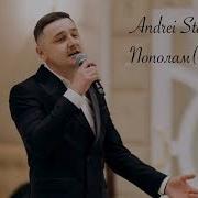 Andrei Stanchevici