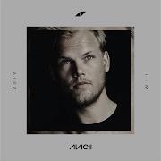 Heaven Instrumental Avicii