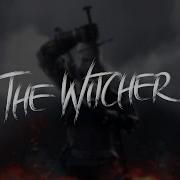 Ambassador Witcher