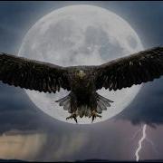 Rayllusion The Eagle Rises