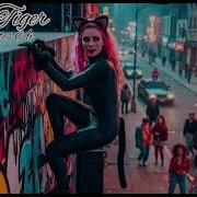 Johnny Hates Ai Black Tiger