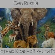 Красная Книга