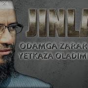 Odam Tanasidagi Jinlar