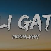 Moonlight Ali Gatie Lyrics