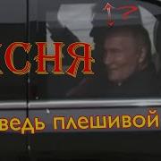 Моль Песня