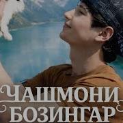 Ибош Музыка Нав 2026