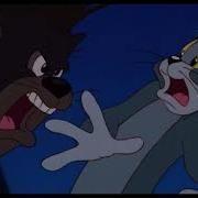 What Do We Care Tom And Jerry