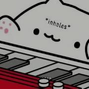 Bongo Cat Lets Go