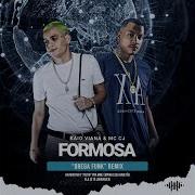 Brega Funk Vai Mega Funk Sul