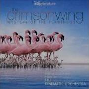 Transformation The Cinematic Orchestra