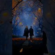 Viata De Ce Nu Miai Spus Ca Pamintul Nui Rai Ca Sus