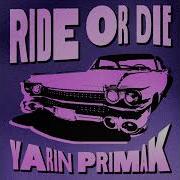 Speed Up Yarin Primak