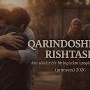 Qarindoshlik Rishtasi Aka Ukalar Bir Biringizda