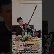 Shoshmedia Kuylaydi