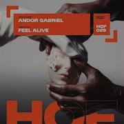 Andor Gabriel Feel Alive