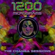 Changa Zone