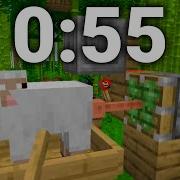 Minecraft Speedrun