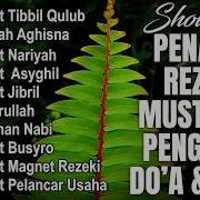 Sholawat Viral