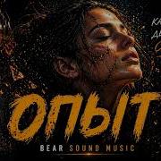 Bear Sound Music Опыт