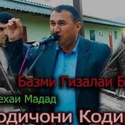 Шодичони Кодир Туёна