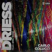 Driess Carlo Colucci