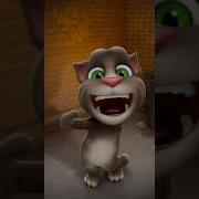 Bolne Wali Billi