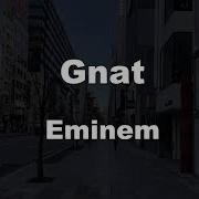 Gnat Minus