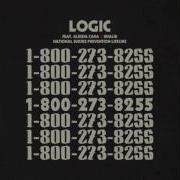 18002738255