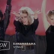 I Am A Venus Song