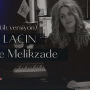 Ay Lacin Mahnisi