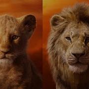 Alquimista 57 Lion
