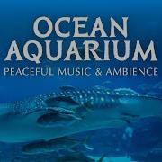 Ocean Ambience