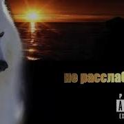 Скриптонит