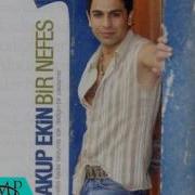 Yakub Ekib Küpe