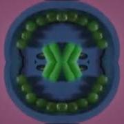 Zoopals G Major 8627