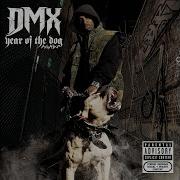 Goodbye Dmx