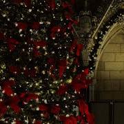 Danny Evo Christmas Ball