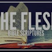 Works Of The Flesh Bible Verse