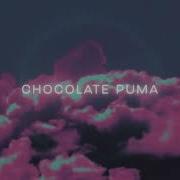 Chocolate Puma Beyond The Sky