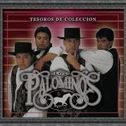 Los Palominos Corazon De Crystal